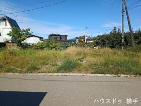 概観画像