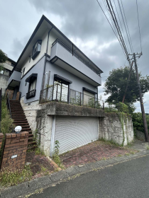 概観画像