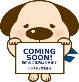 概観画像