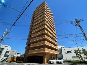 概観画像