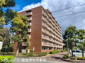 概観画像