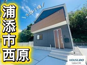 概観画像