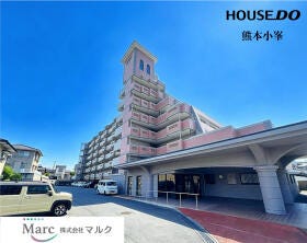 概観画像