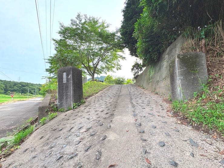 道路から少し上がった位置にあるため、
周囲の緑や空の広がりを感じられる、心地よい眺望が魅力です。