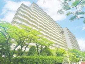概観画像