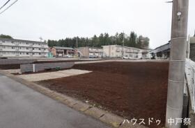 概観画像
