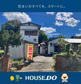 概観画像