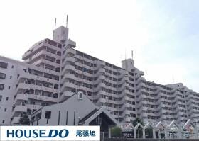 概観画像