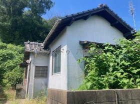 概観画像