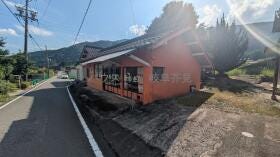 概観画像