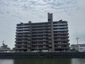 概観画像