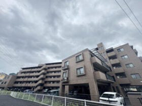 概観画像