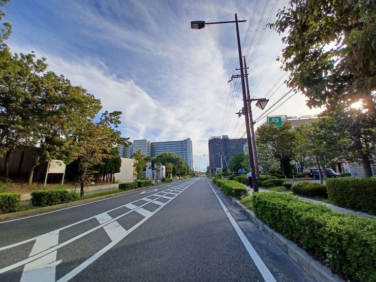 前面道路はゆとりがあり、見通しの良い気持ちのいい街並みが広がります。