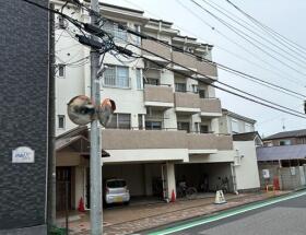 概観画像