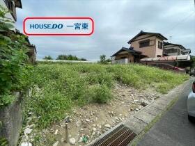 概観画像