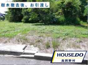 概観画像
