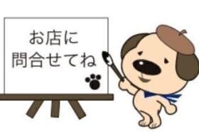 概観画像