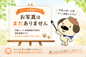 概観画像