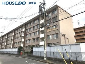 概観画像