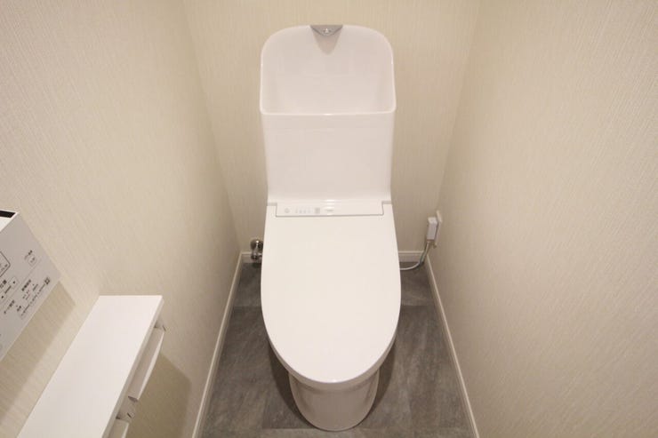 いつも清潔なスペースであってほしいのが毎日使うトイレです。掃除がしやすいのはもちろん、落ち着けるスペースにしたいですね。