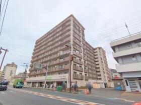 概観画像