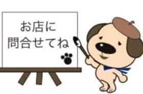 概観画像