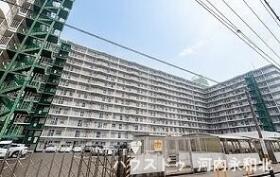 概観画像