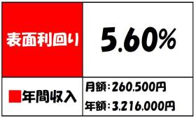 概観画像