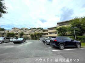 概観画像