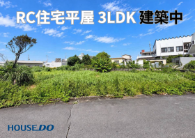 概観画像