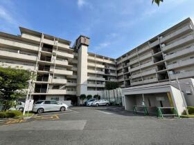 概観画像