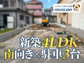 概観画像