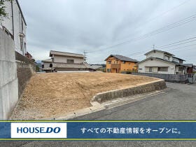 概観画像