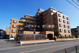 概観画像