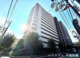 概観画像
