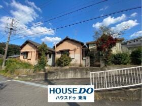 概観画像