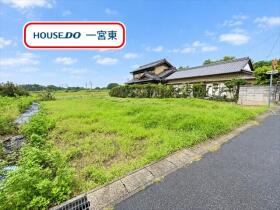 概観画像