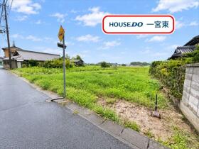 概観画像