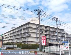 概観画像