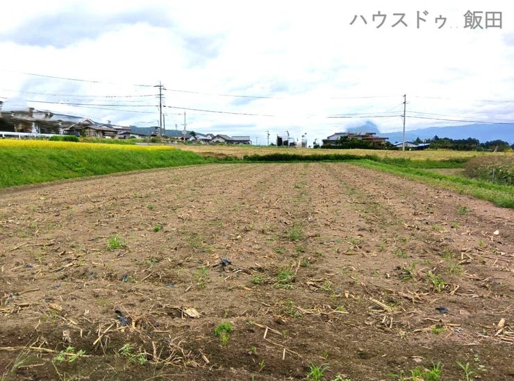 家の横にある畑