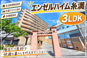 概観画像