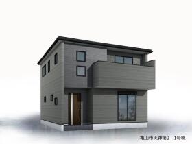 概観画像