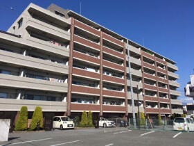 概観画像