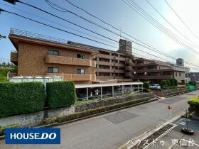 概観画像