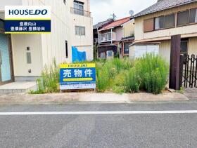 概観画像