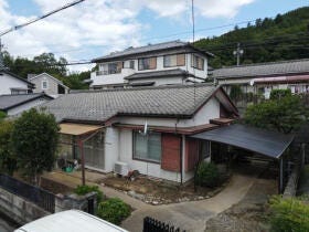 概観画像