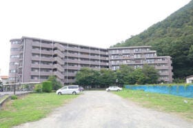 概観画像