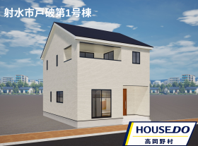概観画像