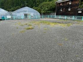 概観画像