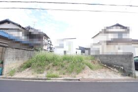 概観画像